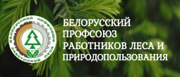 Белорусский профсоюз работников леса