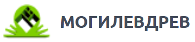 mogilevdrev1